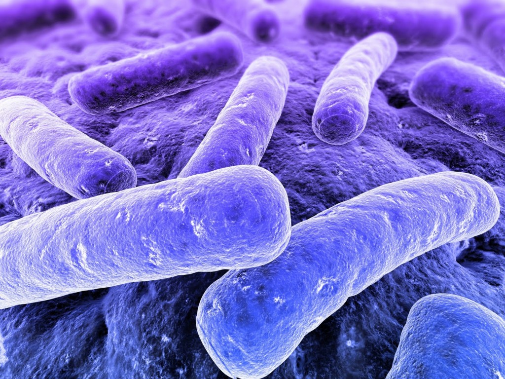 Studi recenti suggeriscono che i cambiamenti nella flora intestinale potrebbero svolgere un ruolo nella comparsa di numerose malattie.