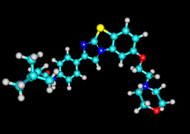 Leucemia, scoperti meccanismi con cui le cellule tumorali sfuggono al sistema immunitario dopo il trapianto. Dal gruppo di ricercatori italiano il primo passo verso terapie mirate.