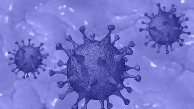 Coronavirus: il rallentamento si consolida